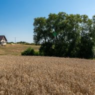 Dom na sprzedaż